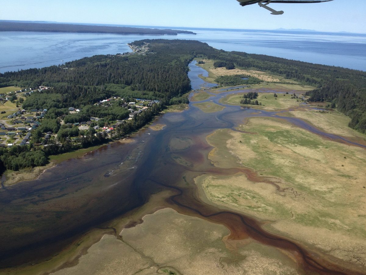 Aerial view of a low coastal settlement on a forested spit: houses among trees on the left, a wide tidal inlet with salt-marsh channels in the foreground, and open ocean beyond.